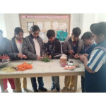 Cooking Activity 6C